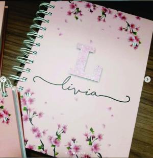 Caderno Capa Dura Capa Dura 15,5x21,5cm 4 cores Personalizado fosco ou brilho 