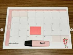 Planner de mesa offset 75grs 20x30cm 4 cores  Blocado 